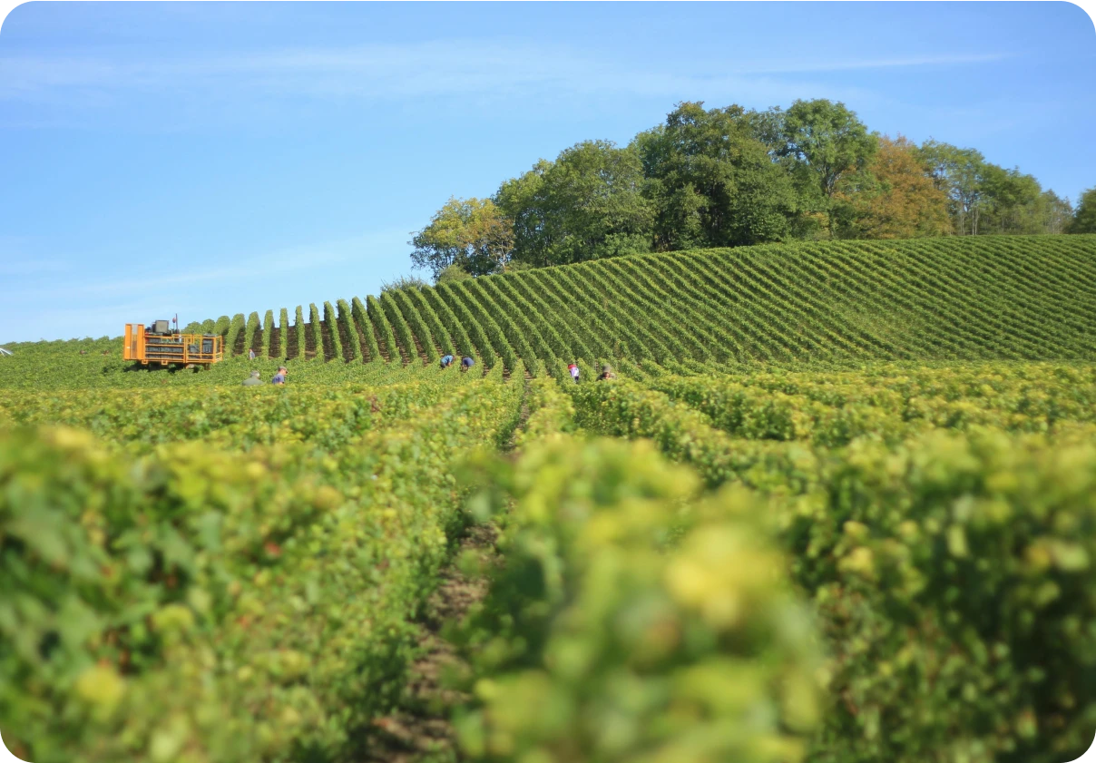 accompagnement reims cabinet orthochamp docteur rumiz